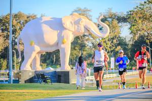 BIB: 
                            <button type="button" onclick="openModal(26183451)" class="btn btn-primary btn-sm float-right btn-popup" data-toggle="modal" data-target=".modal-high-quality">
                        <i class="fas fa-shopping-cart"></i> Add to Cart
                    </button>
                                            <button type="button" onclick="isThisMe(26183451, true)" class="btn btn-success btn-sm float-right btn-popup btn-isme hidden" data-toggle="tooltip" data-placement="bottom" title="นี่คือรูปของคุณใช่ไหม คลิกที่นี่เพื่อเอาเข้าอัลบั้ม">
                        <i class="fas fa-plus"></i> Add to album
                    </button>
                    <button type="button" onclick="isThisMe(26183451, false)" class="btn btn-warning btn-sm float-right btn-popup btn-isnotme hidden">
                        <i class="fas fa-ban"></i> Remove from album
                    </button>