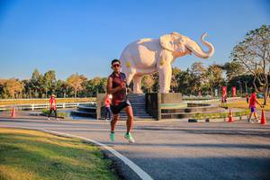 BIB: 
                            <button type="button" onclick="openModal(26186354)" class="btn btn-primary btn-sm float-right btn-popup" data-toggle="modal" data-target=".modal-high-quality">
                        <i class="fas fa-shopping-cart"></i> Add to Cart
                    </button>
                                            <button type="button" onclick="isThisMe(26186354, true)" class="btn btn-success btn-sm float-right btn-popup btn-isme hidden" data-toggle="tooltip" data-placement="bottom" title="นี่คือรูปของคุณใช่ไหม คลิกที่นี่เพื่อเอาเข้าอัลบั้ม">
                        <i class="fas fa-plus"></i> Add to album
                    </button>
                    <button type="button" onclick="isThisMe(26186354, false)" class="btn btn-warning btn-sm float-right btn-popup btn-isnotme hidden">
                        <i class="fas fa-ban"></i> Remove from album
                    </button>