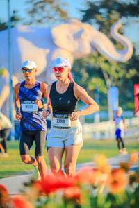 BIB: 
                            <button type="button" onclick="openModal(26183891)" class="btn btn-primary btn-sm float-right btn-popup" data-toggle="modal" data-target=".modal-high-quality">
                        <i class="fas fa-shopping-cart"></i> Add to Cart
                    </button>
                                            <button type="button" onclick="isThisMe(26183891, true)" class="btn btn-success btn-sm float-right btn-popup btn-isme hidden" data-toggle="tooltip" data-placement="bottom" title="นี่คือรูปของคุณใช่ไหม คลิกที่นี่เพื่อเอาเข้าอัลบั้ม">
                        <i class="fas fa-plus"></i> Add to album
                    </button>
                    <button type="button" onclick="isThisMe(26183891, false)" class="btn btn-warning btn-sm float-right btn-popup btn-isnotme hidden">
                        <i class="fas fa-ban"></i> Remove from album
                    </button>