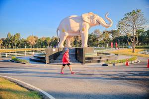 BIB: 
                            <button type="button" onclick="openModal(26186660)" class="btn btn-primary btn-sm float-right btn-popup" data-toggle="modal" data-target=".modal-high-quality">
                        <i class="fas fa-shopping-cart"></i> Add to Cart
                    </button>
                                            <button type="button" onclick="isThisMe(26186660, true)" class="btn btn-success btn-sm float-right btn-popup btn-isme hidden" data-toggle="tooltip" data-placement="bottom" title="นี่คือรูปของคุณใช่ไหม คลิกที่นี่เพื่อเอาเข้าอัลบั้ม">
                        <i class="fas fa-plus"></i> Add to album
                    </button>
                    <button type="button" onclick="isThisMe(26186660, false)" class="btn btn-warning btn-sm float-right btn-popup btn-isnotme hidden">
                        <i class="fas fa-ban"></i> Remove from album
                    </button>