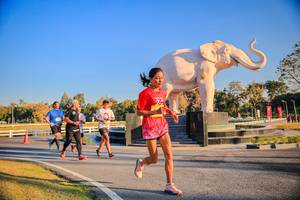 BIB: 
                            <button type="button" onclick="openModal(26186460)" class="btn btn-primary btn-sm float-right btn-popup" data-toggle="modal" data-target=".modal-high-quality">
                        <i class="fas fa-shopping-cart"></i> Add to Cart
                    </button>
                                            <button type="button" onclick="isThisMe(26186460, true)" class="btn btn-success btn-sm float-right btn-popup btn-isme hidden" data-toggle="tooltip" data-placement="bottom" title="นี่คือรูปของคุณใช่ไหม คลิกที่นี่เพื่อเอาเข้าอัลบั้ม">
                        <i class="fas fa-plus"></i> Add to album
                    </button>
                    <button type="button" onclick="isThisMe(26186460, false)" class="btn btn-warning btn-sm float-right btn-popup btn-isnotme hidden">
                        <i class="fas fa-ban"></i> Remove from album
                    </button>