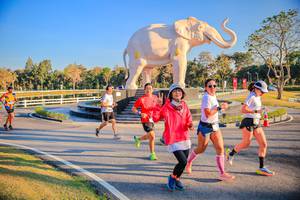 BIB: 
                            <button type="button" onclick="openModal(26186569)" class="btn btn-primary btn-sm float-right btn-popup" data-toggle="modal" data-target=".modal-high-quality">
                        <i class="fas fa-shopping-cart"></i> Add to Cart
                    </button>
                                            <button type="button" onclick="isThisMe(26186569, true)" class="btn btn-success btn-sm float-right btn-popup btn-isme hidden" data-toggle="tooltip" data-placement="bottom" title="นี่คือรูปของคุณใช่ไหม คลิกที่นี่เพื่อเอาเข้าอัลบั้ม">
                        <i class="fas fa-plus"></i> Add to album
                    </button>
                    <button type="button" onclick="isThisMe(26186569, false)" class="btn btn-warning btn-sm float-right btn-popup btn-isnotme hidden">
                        <i class="fas fa-ban"></i> Remove from album
                    </button>