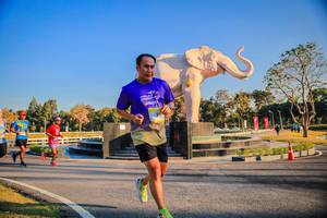 BIB: 
                            <button type="button" onclick="openModal(26186480)" class="btn btn-primary btn-sm float-right btn-popup" data-toggle="modal" data-target=".modal-high-quality">
                        <i class="fas fa-shopping-cart"></i> Add to Cart
                    </button>
                                            <button type="button" onclick="isThisMe(26186480, true)" class="btn btn-success btn-sm float-right btn-popup btn-isme hidden" data-toggle="tooltip" data-placement="bottom" title="นี่คือรูปของคุณใช่ไหม คลิกที่นี่เพื่อเอาเข้าอัลบั้ม">
                        <i class="fas fa-plus"></i> Add to album
                    </button>
                    <button type="button" onclick="isThisMe(26186480, false)" class="btn btn-warning btn-sm float-right btn-popup btn-isnotme hidden">
                        <i class="fas fa-ban"></i> Remove from album
                    </button>