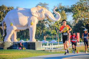 BIB: 
                            <button type="button" onclick="openModal(26183553)" class="btn btn-primary btn-sm float-right btn-popup" data-toggle="modal" data-target=".modal-high-quality">
                        <i class="fas fa-shopping-cart"></i> Add to Cart
                    </button>
                                            <button type="button" onclick="isThisMe(26183553, true)" class="btn btn-success btn-sm float-right btn-popup btn-isme hidden" data-toggle="tooltip" data-placement="bottom" title="นี่คือรูปของคุณใช่ไหม คลิกที่นี่เพื่อเอาเข้าอัลบั้ม">
                        <i class="fas fa-plus"></i> Add to album
                    </button>
                    <button type="button" onclick="isThisMe(26183553, false)" class="btn btn-warning btn-sm float-right btn-popup btn-isnotme hidden">
                        <i class="fas fa-ban"></i> Remove from album
                    </button>