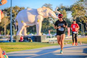 BIB: 
                            <button type="button" onclick="openModal(26183585)" class="btn btn-primary btn-sm float-right btn-popup" data-toggle="modal" data-target=".modal-high-quality">
                        <i class="fas fa-shopping-cart"></i> Add to Cart
                    </button>
                                            <button type="button" onclick="isThisMe(26183585, true)" class="btn btn-success btn-sm float-right btn-popup btn-isme hidden" data-toggle="tooltip" data-placement="bottom" title="นี่คือรูปของคุณใช่ไหม คลิกที่นี่เพื่อเอาเข้าอัลบั้ม">
                        <i class="fas fa-plus"></i> Add to album
                    </button>
                    <button type="button" onclick="isThisMe(26183585, false)" class="btn btn-warning btn-sm float-right btn-popup btn-isnotme hidden">
                        <i class="fas fa-ban"></i> Remove from album
                    </button>