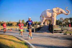 BIB: 
                            <button type="button" onclick="openModal(26186435)" class="btn btn-primary btn-sm float-right btn-popup" data-toggle="modal" data-target=".modal-high-quality">
                        <i class="fas fa-shopping-cart"></i> Add to Cart
                    </button>
                                            <button type="button" onclick="isThisMe(26186435, true)" class="btn btn-success btn-sm float-right btn-popup btn-isme hidden" data-toggle="tooltip" data-placement="bottom" title="นี่คือรูปของคุณใช่ไหม คลิกที่นี่เพื่อเอาเข้าอัลบั้ม">
                        <i class="fas fa-plus"></i> Add to album
                    </button>
                    <button type="button" onclick="isThisMe(26186435, false)" class="btn btn-warning btn-sm float-right btn-popup btn-isnotme hidden">
                        <i class="fas fa-ban"></i> Remove from album
                    </button>