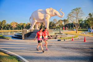 BIB: 
                            <button type="button" onclick="openModal(26186676)" class="btn btn-primary btn-sm float-right btn-popup" data-toggle="modal" data-target=".modal-high-quality">
                        <i class="fas fa-shopping-cart"></i> Add to Cart
                    </button>
                                            <button type="button" onclick="isThisMe(26186676, true)" class="btn btn-success btn-sm float-right btn-popup btn-isme hidden" data-toggle="tooltip" data-placement="bottom" title="นี่คือรูปของคุณใช่ไหม คลิกที่นี่เพื่อเอาเข้าอัลบั้ม">
                        <i class="fas fa-plus"></i> Add to album
                    </button>
                    <button type="button" onclick="isThisMe(26186676, false)" class="btn btn-warning btn-sm float-right btn-popup btn-isnotme hidden">
                        <i class="fas fa-ban"></i> Remove from album
                    </button>