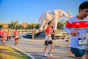 BIB: 
                            <button type="button" onclick="openModal(26186594)" class="btn btn-primary btn-sm float-right btn-popup" data-toggle="modal" data-target=".modal-high-quality">
                        <i class="fas fa-shopping-cart"></i> Add to Cart
                    </button>
                                            <button type="button" onclick="isThisMe(26186594, true)" class="btn btn-success btn-sm float-right btn-popup btn-isme hidden" data-toggle="tooltip" data-placement="bottom" title="นี่คือรูปของคุณใช่ไหม คลิกที่นี่เพื่อเอาเข้าอัลบั้ม">
                        <i class="fas fa-plus"></i> Add to album
                    </button>
                    <button type="button" onclick="isThisMe(26186594, false)" class="btn btn-warning btn-sm float-right btn-popup btn-isnotme hidden">
                        <i class="fas fa-ban"></i> Remove from album
                    </button>