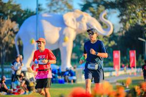 BIB: 
                            <button type="button" onclick="openModal(26183993)" class="btn btn-primary btn-sm float-right btn-popup" data-toggle="modal" data-target=".modal-high-quality">
                        <i class="fas fa-shopping-cart"></i> Add to Cart
                    </button>
                                            <button type="button" onclick="isThisMe(26183993, true)" class="btn btn-success btn-sm float-right btn-popup btn-isme hidden" data-toggle="tooltip" data-placement="bottom" title="นี่คือรูปของคุณใช่ไหม คลิกที่นี่เพื่อเอาเข้าอัลบั้ม">
                        <i class="fas fa-plus"></i> Add to album
                    </button>
                    <button type="button" onclick="isThisMe(26183993, false)" class="btn btn-warning btn-sm float-right btn-popup btn-isnotme hidden">
                        <i class="fas fa-ban"></i> Remove from album
                    </button>