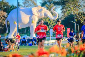 BIB: 
                            <button type="button" onclick="openModal(26184011)" class="btn btn-primary btn-sm float-right btn-popup" data-toggle="modal" data-target=".modal-high-quality">
                        <i class="fas fa-shopping-cart"></i> Add to Cart
                    </button>
                                            <button type="button" onclick="isThisMe(26184011, true)" class="btn btn-success btn-sm float-right btn-popup btn-isme hidden" data-toggle="tooltip" data-placement="bottom" title="นี่คือรูปของคุณใช่ไหม คลิกที่นี่เพื่อเอาเข้าอัลบั้ม">
                        <i class="fas fa-plus"></i> Add to album
                    </button>
                    <button type="button" onclick="isThisMe(26184011, false)" class="btn btn-warning btn-sm float-right btn-popup btn-isnotme hidden">
                        <i class="fas fa-ban"></i> Remove from album
                    </button>