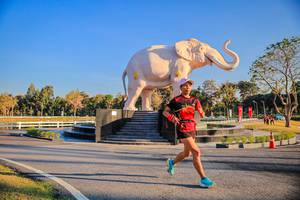 BIB: 
                            <button type="button" onclick="openModal(26186397)" class="btn btn-primary btn-sm float-right btn-popup" data-toggle="modal" data-target=".modal-high-quality">
                        <i class="fas fa-shopping-cart"></i> Add to Cart
                    </button>
                                            <button type="button" onclick="isThisMe(26186397, true)" class="btn btn-success btn-sm float-right btn-popup btn-isme hidden" data-toggle="tooltip" data-placement="bottom" title="นี่คือรูปของคุณใช่ไหม คลิกที่นี่เพื่อเอาเข้าอัลบั้ม">
                        <i class="fas fa-plus"></i> Add to album
                    </button>
                    <button type="button" onclick="isThisMe(26186397, false)" class="btn btn-warning btn-sm float-right btn-popup btn-isnotme hidden">
                        <i class="fas fa-ban"></i> Remove from album
                    </button>