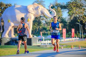 BIB: 
                            <button type="button" onclick="openModal(26183507)" class="btn btn-primary btn-sm float-right btn-popup" data-toggle="modal" data-target=".modal-high-quality">
                        <i class="fas fa-shopping-cart"></i> Add to Cart
                    </button>
                                            <button type="button" onclick="isThisMe(26183507, true)" class="btn btn-success btn-sm float-right btn-popup btn-isme hidden" data-toggle="tooltip" data-placement="bottom" title="นี่คือรูปของคุณใช่ไหม คลิกที่นี่เพื่อเอาเข้าอัลบั้ม">
                        <i class="fas fa-plus"></i> Add to album
                    </button>
                    <button type="button" onclick="isThisMe(26183507, false)" class="btn btn-warning btn-sm float-right btn-popup btn-isnotme hidden">
                        <i class="fas fa-ban"></i> Remove from album
                    </button>