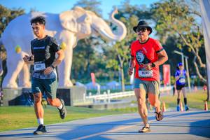 BIB: 
                            <button type="button" onclick="openModal(26183601)" class="btn btn-primary btn-sm float-right btn-popup" data-toggle="modal" data-target=".modal-high-quality">
                        <i class="fas fa-shopping-cart"></i> Add to Cart
                    </button>
                                            <button type="button" onclick="isThisMe(26183601, true)" class="btn btn-success btn-sm float-right btn-popup btn-isme hidden" data-toggle="tooltip" data-placement="bottom" title="นี่คือรูปของคุณใช่ไหม คลิกที่นี่เพื่อเอาเข้าอัลบั้ม">
                        <i class="fas fa-plus"></i> Add to album
                    </button>
                    <button type="button" onclick="isThisMe(26183601, false)" class="btn btn-warning btn-sm float-right btn-popup btn-isnotme hidden">
                        <i class="fas fa-ban"></i> Remove from album
                    </button>