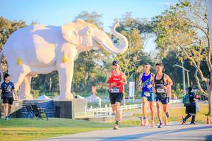 BIB: 
                            <button type="button" onclick="openModal(26183442)" class="btn btn-primary btn-sm float-right btn-popup" data-toggle="modal" data-target=".modal-high-quality">
                        <i class="fas fa-shopping-cart"></i> Add to Cart
                    </button>
                                            <button type="button" onclick="isThisMe(26183442, true)" class="btn btn-success btn-sm float-right btn-popup btn-isme hidden" data-toggle="tooltip" data-placement="bottom" title="นี่คือรูปของคุณใช่ไหม คลิกที่นี่เพื่อเอาเข้าอัลบั้ม">
                        <i class="fas fa-plus"></i> Add to album
                    </button>
                    <button type="button" onclick="isThisMe(26183442, false)" class="btn btn-warning btn-sm float-right btn-popup btn-isnotme hidden">
                        <i class="fas fa-ban"></i> Remove from album
                    </button>