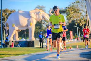 BIB: 
                            <button type="button" onclick="openModal(26183731)" class="btn btn-primary btn-sm float-right btn-popup" data-toggle="modal" data-target=".modal-high-quality">
                        <i class="fas fa-shopping-cart"></i> Add to Cart
                    </button>
                                            <button type="button" onclick="isThisMe(26183731, true)" class="btn btn-success btn-sm float-right btn-popup btn-isme hidden" data-toggle="tooltip" data-placement="bottom" title="นี่คือรูปของคุณใช่ไหม คลิกที่นี่เพื่อเอาเข้าอัลบั้ม">
                        <i class="fas fa-plus"></i> Add to album
                    </button>
                    <button type="button" onclick="isThisMe(26183731, false)" class="btn btn-warning btn-sm float-right btn-popup btn-isnotme hidden">
                        <i class="fas fa-ban"></i> Remove from album
                    </button>