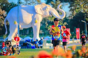 BIB: 
                            <button type="button" onclick="openModal(26183989)" class="btn btn-primary btn-sm float-right btn-popup" data-toggle="modal" data-target=".modal-high-quality">
                        <i class="fas fa-shopping-cart"></i> Add to Cart
                    </button>
                                            <button type="button" onclick="isThisMe(26183989, true)" class="btn btn-success btn-sm float-right btn-popup btn-isme hidden" data-toggle="tooltip" data-placement="bottom" title="นี่คือรูปของคุณใช่ไหม คลิกที่นี่เพื่อเอาเข้าอัลบั้ม">
                        <i class="fas fa-plus"></i> Add to album
                    </button>
                    <button type="button" onclick="isThisMe(26183989, false)" class="btn btn-warning btn-sm float-right btn-popup btn-isnotme hidden">
                        <i class="fas fa-ban"></i> Remove from album
                    </button>