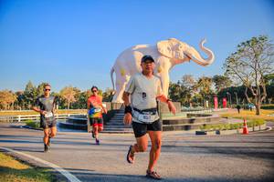 BIB: 
                            <button type="button" onclick="openModal(26186474)" class="btn btn-primary btn-sm float-right btn-popup" data-toggle="modal" data-target=".modal-high-quality">
                        <i class="fas fa-shopping-cart"></i> Add to Cart
                    </button>
                                            <button type="button" onclick="isThisMe(26186474, true)" class="btn btn-success btn-sm float-right btn-popup btn-isme hidden" data-toggle="tooltip" data-placement="bottom" title="นี่คือรูปของคุณใช่ไหม คลิกที่นี่เพื่อเอาเข้าอัลบั้ม">
                        <i class="fas fa-plus"></i> Add to album
                    </button>
                    <button type="button" onclick="isThisMe(26186474, false)" class="btn btn-warning btn-sm float-right btn-popup btn-isnotme hidden">
                        <i class="fas fa-ban"></i> Remove from album
                    </button>