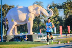 BIB: 
                            <button type="button" onclick="openModal(26183499)" class="btn btn-primary btn-sm float-right btn-popup" data-toggle="modal" data-target=".modal-high-quality">
                        <i class="fas fa-shopping-cart"></i> Add to Cart
                    </button>
                                            <button type="button" onclick="isThisMe(26183499, true)" class="btn btn-success btn-sm float-right btn-popup btn-isme hidden" data-toggle="tooltip" data-placement="bottom" title="นี่คือรูปของคุณใช่ไหม คลิกที่นี่เพื่อเอาเข้าอัลบั้ม">
                        <i class="fas fa-plus"></i> Add to album
                    </button>
                    <button type="button" onclick="isThisMe(26183499, false)" class="btn btn-warning btn-sm float-right btn-popup btn-isnotme hidden">
                        <i class="fas fa-ban"></i> Remove from album
                    </button>