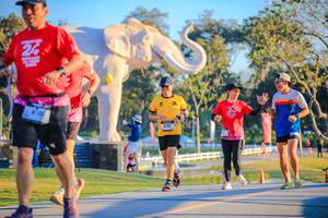 BIB: 
                            <button type="button" onclick="openModal(26183675)" class="btn btn-primary btn-sm float-right btn-popup" data-toggle="modal" data-target=".modal-high-quality">
                        <i class="fas fa-shopping-cart"></i> Add to Cart
                    </button>
                                            <button type="button" onclick="isThisMe(26183675, true)" class="btn btn-success btn-sm float-right btn-popup btn-isme hidden" data-toggle="tooltip" data-placement="bottom" title="นี่คือรูปของคุณใช่ไหม คลิกที่นี่เพื่อเอาเข้าอัลบั้ม">
                        <i class="fas fa-plus"></i> Add to album
                    </button>
                    <button type="button" onclick="isThisMe(26183675, false)" class="btn btn-warning btn-sm float-right btn-popup btn-isnotme hidden">
                        <i class="fas fa-ban"></i> Remove from album
                    </button>