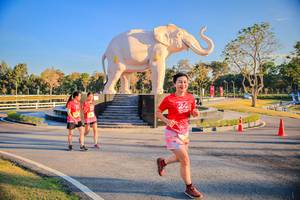 BIB: 
                            <button type="button" onclick="openModal(26186674)" class="btn btn-primary btn-sm float-right btn-popup" data-toggle="modal" data-target=".modal-high-quality">
                        <i class="fas fa-shopping-cart"></i> Add to Cart
                    </button>
                                            <button type="button" onclick="isThisMe(26186674, true)" class="btn btn-success btn-sm float-right btn-popup btn-isme hidden" data-toggle="tooltip" data-placement="bottom" title="นี่คือรูปของคุณใช่ไหม คลิกที่นี่เพื่อเอาเข้าอัลบั้ม">
                        <i class="fas fa-plus"></i> Add to album
                    </button>
                    <button type="button" onclick="isThisMe(26186674, false)" class="btn btn-warning btn-sm float-right btn-popup btn-isnotme hidden">
                        <i class="fas fa-ban"></i> Remove from album
                    </button>