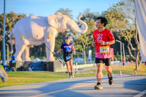 BIB: 
                            <button type="button" onclick="openModal(26183743)" class="btn btn-primary btn-sm float-right btn-popup" data-toggle="modal" data-target=".modal-high-quality">
                        <i class="fas fa-shopping-cart"></i> Add to Cart
                    </button>
                                            <button type="button" onclick="isThisMe(26183743, true)" class="btn btn-success btn-sm float-right btn-popup btn-isme hidden" data-toggle="tooltip" data-placement="bottom" title="นี่คือรูปของคุณใช่ไหม คลิกที่นี่เพื่อเอาเข้าอัลบั้ม">
                        <i class="fas fa-plus"></i> Add to album
                    </button>
                    <button type="button" onclick="isThisMe(26183743, false)" class="btn btn-warning btn-sm float-right btn-popup btn-isnotme hidden">
                        <i class="fas fa-ban"></i> Remove from album
                    </button>