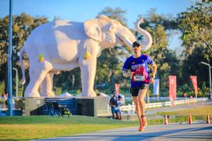 BIB: 
                            <button type="button" onclick="openModal(26183492)" class="btn btn-primary btn-sm float-right btn-popup" data-toggle="modal" data-target=".modal-high-quality">
                        <i class="fas fa-shopping-cart"></i> Add to Cart
                    </button>
                                            <button type="button" onclick="isThisMe(26183492, true)" class="btn btn-success btn-sm float-right btn-popup btn-isme hidden" data-toggle="tooltip" data-placement="bottom" title="นี่คือรูปของคุณใช่ไหม คลิกที่นี่เพื่อเอาเข้าอัลบั้ม">
                        <i class="fas fa-plus"></i> Add to album
                    </button>
                    <button type="button" onclick="isThisMe(26183492, false)" class="btn btn-warning btn-sm float-right btn-popup btn-isnotme hidden">
                        <i class="fas fa-ban"></i> Remove from album
                    </button>