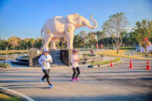 BIB: 
                            <button type="button" onclick="openModal(26186623)" class="btn btn-primary btn-sm float-right btn-popup" data-toggle="modal" data-target=".modal-high-quality">
                        <i class="fas fa-shopping-cart"></i> Add to Cart
                    </button>
                                            <button type="button" onclick="isThisMe(26186623, true)" class="btn btn-success btn-sm float-right btn-popup btn-isme hidden" data-toggle="tooltip" data-placement="bottom" title="นี่คือรูปของคุณใช่ไหม คลิกที่นี่เพื่อเอาเข้าอัลบั้ม">
                        <i class="fas fa-plus"></i> Add to album
                    </button>
                    <button type="button" onclick="isThisMe(26186623, false)" class="btn btn-warning btn-sm float-right btn-popup btn-isnotme hidden">
                        <i class="fas fa-ban"></i> Remove from album
                    </button>