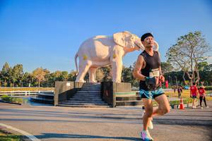 BIB: 
                            <button type="button" onclick="openModal(26186385)" class="btn btn-primary btn-sm float-right btn-popup" data-toggle="modal" data-target=".modal-high-quality">
                        <i class="fas fa-shopping-cart"></i> Add to Cart
                    </button>
                                            <button type="button" onclick="isThisMe(26186385, true)" class="btn btn-success btn-sm float-right btn-popup btn-isme hidden" data-toggle="tooltip" data-placement="bottom" title="นี่คือรูปของคุณใช่ไหม คลิกที่นี่เพื่อเอาเข้าอัลบั้ม">
                        <i class="fas fa-plus"></i> Add to album
                    </button>
                    <button type="button" onclick="isThisMe(26186385, false)" class="btn btn-warning btn-sm float-right btn-popup btn-isnotme hidden">
                        <i class="fas fa-ban"></i> Remove from album
                    </button>