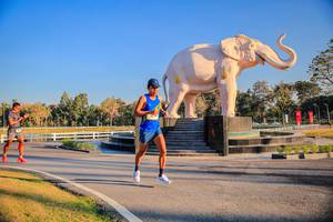 BIB: 
                            <button type="button" onclick="openModal(26186408)" class="btn btn-primary btn-sm float-right btn-popup" data-toggle="modal" data-target=".modal-high-quality">
                        <i class="fas fa-shopping-cart"></i> Add to Cart
                    </button>
                                            <button type="button" onclick="isThisMe(26186408, true)" class="btn btn-success btn-sm float-right btn-popup btn-isme hidden" data-toggle="tooltip" data-placement="bottom" title="นี่คือรูปของคุณใช่ไหม คลิกที่นี่เพื่อเอาเข้าอัลบั้ม">
                        <i class="fas fa-plus"></i> Add to album
                    </button>
                    <button type="button" onclick="isThisMe(26186408, false)" class="btn btn-warning btn-sm float-right btn-popup btn-isnotme hidden">
                        <i class="fas fa-ban"></i> Remove from album
                    </button>