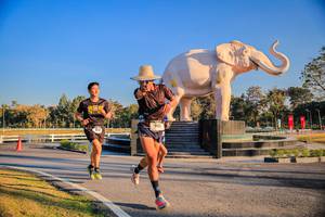 BIB: 
                            <button type="button" onclick="openModal(26186406)" class="btn btn-primary btn-sm float-right btn-popup" data-toggle="modal" data-target=".modal-high-quality">
                        <i class="fas fa-shopping-cart"></i> Add to Cart
                    </button>
                                            <button type="button" onclick="isThisMe(26186406, true)" class="btn btn-success btn-sm float-right btn-popup btn-isme hidden" data-toggle="tooltip" data-placement="bottom" title="นี่คือรูปของคุณใช่ไหม คลิกที่นี่เพื่อเอาเข้าอัลบั้ม">
                        <i class="fas fa-plus"></i> Add to album
                    </button>
                    <button type="button" onclick="isThisMe(26186406, false)" class="btn btn-warning btn-sm float-right btn-popup btn-isnotme hidden">
                        <i class="fas fa-ban"></i> Remove from album
                    </button>