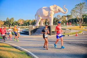 BIB: 
                            <button type="button" onclick="openModal(26186563)" class="btn btn-primary btn-sm float-right btn-popup" data-toggle="modal" data-target=".modal-high-quality">
                        <i class="fas fa-shopping-cart"></i> Add to Cart
                    </button>
                                            <button type="button" onclick="isThisMe(26186563, true)" class="btn btn-success btn-sm float-right btn-popup btn-isme hidden" data-toggle="tooltip" data-placement="bottom" title="นี่คือรูปของคุณใช่ไหม คลิกที่นี่เพื่อเอาเข้าอัลบั้ม">
                        <i class="fas fa-plus"></i> Add to album
                    </button>
                    <button type="button" onclick="isThisMe(26186563, false)" class="btn btn-warning btn-sm float-right btn-popup btn-isnotme hidden">
                        <i class="fas fa-ban"></i> Remove from album
                    </button>