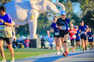 BIB: 
                            <button type="button" onclick="openModal(26183612)" class="btn btn-primary btn-sm float-right btn-popup" data-toggle="modal" data-target=".modal-high-quality">
                        <i class="fas fa-shopping-cart"></i> Add to Cart
                    </button>
                                            <button type="button" onclick="isThisMe(26183612, true)" class="btn btn-success btn-sm float-right btn-popup btn-isme hidden" data-toggle="tooltip" data-placement="bottom" title="นี่คือรูปของคุณใช่ไหม คลิกที่นี่เพื่อเอาเข้าอัลบั้ม">
                        <i class="fas fa-plus"></i> Add to album
                    </button>
                    <button type="button" onclick="isThisMe(26183612, false)" class="btn btn-warning btn-sm float-right btn-popup btn-isnotme hidden">
                        <i class="fas fa-ban"></i> Remove from album
                    </button>