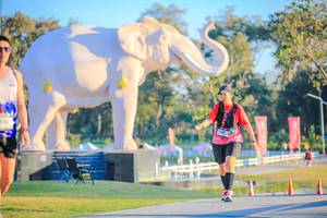 BIB: 
                            <button type="button" onclick="openModal(26183436)" class="btn btn-primary btn-sm float-right btn-popup" data-toggle="modal" data-target=".modal-high-quality">
                        <i class="fas fa-shopping-cart"></i> Add to Cart
                    </button>
                                            <button type="button" onclick="isThisMe(26183436, true)" class="btn btn-success btn-sm float-right btn-popup btn-isme hidden" data-toggle="tooltip" data-placement="bottom" title="นี่คือรูปของคุณใช่ไหม คลิกที่นี่เพื่อเอาเข้าอัลบั้ม">
                        <i class="fas fa-plus"></i> Add to album
                    </button>
                    <button type="button" onclick="isThisMe(26183436, false)" class="btn btn-warning btn-sm float-right btn-popup btn-isnotme hidden">
                        <i class="fas fa-ban"></i> Remove from album
                    </button>