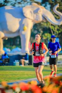 BIB: 
                            <button type="button" onclick="openModal(26183812)" class="btn btn-primary btn-sm float-right btn-popup" data-toggle="modal" data-target=".modal-high-quality">
                        <i class="fas fa-shopping-cart"></i> Add to Cart
                    </button>
                                            <button type="button" onclick="isThisMe(26183812, true)" class="btn btn-success btn-sm float-right btn-popup btn-isme hidden" data-toggle="tooltip" data-placement="bottom" title="นี่คือรูปของคุณใช่ไหม คลิกที่นี่เพื่อเอาเข้าอัลบั้ม">
                        <i class="fas fa-plus"></i> Add to album
                    </button>
                    <button type="button" onclick="isThisMe(26183812, false)" class="btn btn-warning btn-sm float-right btn-popup btn-isnotme hidden">
                        <i class="fas fa-ban"></i> Remove from album
                    </button>