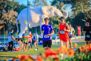 BIB: 
                            <button type="button" onclick="openModal(26184043)" class="btn btn-primary btn-sm float-right btn-popup" data-toggle="modal" data-target=".modal-high-quality">
                        <i class="fas fa-shopping-cart"></i> Add to Cart
                    </button>
                                            <button type="button" onclick="isThisMe(26184043, true)" class="btn btn-success btn-sm float-right btn-popup btn-isme hidden" data-toggle="tooltip" data-placement="bottom" title="นี่คือรูปของคุณใช่ไหม คลิกที่นี่เพื่อเอาเข้าอัลบั้ม">
                        <i class="fas fa-plus"></i> Add to album
                    </button>
                    <button type="button" onclick="isThisMe(26184043, false)" class="btn btn-warning btn-sm float-right btn-popup btn-isnotme hidden">
                        <i class="fas fa-ban"></i> Remove from album
                    </button>