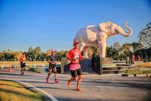 BIB: 
                            <button type="button" onclick="openModal(26186443)" class="btn btn-primary btn-sm float-right btn-popup" data-toggle="modal" data-target=".modal-high-quality">
                        <i class="fas fa-shopping-cart"></i> Add to Cart
                    </button>
                                            <button type="button" onclick="isThisMe(26186443, true)" class="btn btn-success btn-sm float-right btn-popup btn-isme hidden" data-toggle="tooltip" data-placement="bottom" title="นี่คือรูปของคุณใช่ไหม คลิกที่นี่เพื่อเอาเข้าอัลบั้ม">
                        <i class="fas fa-plus"></i> Add to album
                    </button>
                    <button type="button" onclick="isThisMe(26186443, false)" class="btn btn-warning btn-sm float-right btn-popup btn-isnotme hidden">
                        <i class="fas fa-ban"></i> Remove from album
                    </button>