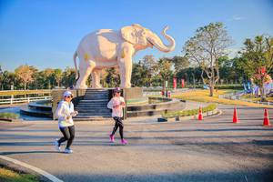 BIB: 
                            <button type="button" onclick="openModal(26186624)" class="btn btn-primary btn-sm float-right btn-popup" data-toggle="modal" data-target=".modal-high-quality">
                        <i class="fas fa-shopping-cart"></i> Add to Cart
                    </button>
                                            <button type="button" onclick="isThisMe(26186624, true)" class="btn btn-success btn-sm float-right btn-popup btn-isme hidden" data-toggle="tooltip" data-placement="bottom" title="นี่คือรูปของคุณใช่ไหม คลิกที่นี่เพื่อเอาเข้าอัลบั้ม">
                        <i class="fas fa-plus"></i> Add to album
                    </button>
                    <button type="button" onclick="isThisMe(26186624, false)" class="btn btn-warning btn-sm float-right btn-popup btn-isnotme hidden">
                        <i class="fas fa-ban"></i> Remove from album
                    </button>