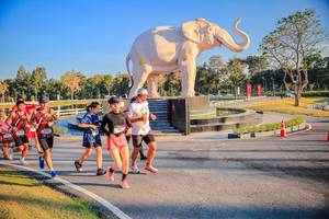 BIB: 
                            <button type="button" onclick="openModal(26186545)" class="btn btn-primary btn-sm float-right btn-popup" data-toggle="modal" data-target=".modal-high-quality">
                        <i class="fas fa-shopping-cart"></i> Add to Cart
                    </button>
                                            <button type="button" onclick="isThisMe(26186545, true)" class="btn btn-success btn-sm float-right btn-popup btn-isme hidden" data-toggle="tooltip" data-placement="bottom" title="นี่คือรูปของคุณใช่ไหม คลิกที่นี่เพื่อเอาเข้าอัลบั้ม">
                        <i class="fas fa-plus"></i> Add to album
                    </button>
                    <button type="button" onclick="isThisMe(26186545, false)" class="btn btn-warning btn-sm float-right btn-popup btn-isnotme hidden">
                        <i class="fas fa-ban"></i> Remove from album
                    </button>