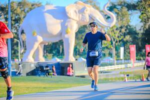 BIB: 
                            <button type="button" onclick="openModal(26183402)" class="btn btn-primary btn-sm float-right btn-popup" data-toggle="modal" data-target=".modal-high-quality">
                        <i class="fas fa-shopping-cart"></i> Add to Cart
                    </button>
                                            <button type="button" onclick="isThisMe(26183402, true)" class="btn btn-success btn-sm float-right btn-popup btn-isme hidden" data-toggle="tooltip" data-placement="bottom" title="นี่คือรูปของคุณใช่ไหม คลิกที่นี่เพื่อเอาเข้าอัลบั้ม">
                        <i class="fas fa-plus"></i> Add to album
                    </button>
                    <button type="button" onclick="isThisMe(26183402, false)" class="btn btn-warning btn-sm float-right btn-popup btn-isnotme hidden">
                        <i class="fas fa-ban"></i> Remove from album
                    </button>