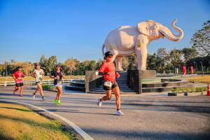 BIB: 
                            <button type="button" onclick="openModal(26186422)" class="btn btn-primary btn-sm float-right btn-popup" data-toggle="modal" data-target=".modal-high-quality">
                        <i class="fas fa-shopping-cart"></i> Add to Cart
                    </button>
                                            <button type="button" onclick="isThisMe(26186422, true)" class="btn btn-success btn-sm float-right btn-popup btn-isme hidden" data-toggle="tooltip" data-placement="bottom" title="นี่คือรูปของคุณใช่ไหม คลิกที่นี่เพื่อเอาเข้าอัลบั้ม">
                        <i class="fas fa-plus"></i> Add to album
                    </button>
                    <button type="button" onclick="isThisMe(26186422, false)" class="btn btn-warning btn-sm float-right btn-popup btn-isnotme hidden">
                        <i class="fas fa-ban"></i> Remove from album
                    </button>