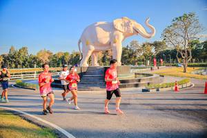 BIB: 
                            <button type="button" onclick="openModal(26186642)" class="btn btn-primary btn-sm float-right btn-popup" data-toggle="modal" data-target=".modal-high-quality">
                        <i class="fas fa-shopping-cart"></i> Add to Cart
                    </button>
                                            <button type="button" onclick="isThisMe(26186642, true)" class="btn btn-success btn-sm float-right btn-popup btn-isme hidden" data-toggle="tooltip" data-placement="bottom" title="นี่คือรูปของคุณใช่ไหม คลิกที่นี่เพื่อเอาเข้าอัลบั้ม">
                        <i class="fas fa-plus"></i> Add to album
                    </button>
                    <button type="button" onclick="isThisMe(26186642, false)" class="btn btn-warning btn-sm float-right btn-popup btn-isnotme hidden">
                        <i class="fas fa-ban"></i> Remove from album
                    </button>