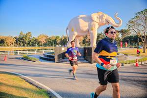 BIB: 
                            <button type="button" onclick="openModal(26186606)" class="btn btn-primary btn-sm float-right btn-popup" data-toggle="modal" data-target=".modal-high-quality">
                        <i class="fas fa-shopping-cart"></i> Add to Cart
                    </button>
                                            <button type="button" onclick="isThisMe(26186606, true)" class="btn btn-success btn-sm float-right btn-popup btn-isme hidden" data-toggle="tooltip" data-placement="bottom" title="นี่คือรูปของคุณใช่ไหม คลิกที่นี่เพื่อเอาเข้าอัลบั้ม">
                        <i class="fas fa-plus"></i> Add to album
                    </button>
                    <button type="button" onclick="isThisMe(26186606, false)" class="btn btn-warning btn-sm float-right btn-popup btn-isnotme hidden">
                        <i class="fas fa-ban"></i> Remove from album
                    </button>