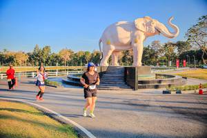 BIB: 
                            <button type="button" onclick="openModal(26186585)" class="btn btn-primary btn-sm float-right btn-popup" data-toggle="modal" data-target=".modal-high-quality">
                        <i class="fas fa-shopping-cart"></i> Add to Cart
                    </button>
                                            <button type="button" onclick="isThisMe(26186585, true)" class="btn btn-success btn-sm float-right btn-popup btn-isme hidden" data-toggle="tooltip" data-placement="bottom" title="นี่คือรูปของคุณใช่ไหม คลิกที่นี่เพื่อเอาเข้าอัลบั้ม">
                        <i class="fas fa-plus"></i> Add to album
                    </button>
                    <button type="button" onclick="isThisMe(26186585, false)" class="btn btn-warning btn-sm float-right btn-popup btn-isnotme hidden">
                        <i class="fas fa-ban"></i> Remove from album
                    </button>