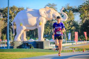 BIB: 
                            <button type="button" onclick="openModal(26183493)" class="btn btn-primary btn-sm float-right btn-popup" data-toggle="modal" data-target=".modal-high-quality">
                        <i class="fas fa-shopping-cart"></i> Add to Cart
                    </button>
                                            <button type="button" onclick="isThisMe(26183493, true)" class="btn btn-success btn-sm float-right btn-popup btn-isme hidden" data-toggle="tooltip" data-placement="bottom" title="นี่คือรูปของคุณใช่ไหม คลิกที่นี่เพื่อเอาเข้าอัลบั้ม">
                        <i class="fas fa-plus"></i> Add to album
                    </button>
                    <button type="button" onclick="isThisMe(26183493, false)" class="btn btn-warning btn-sm float-right btn-popup btn-isnotme hidden">
                        <i class="fas fa-ban"></i> Remove from album
                    </button>