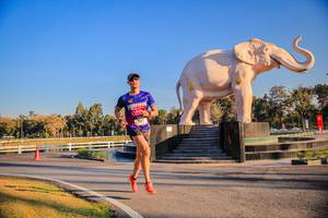 BIB: 
                            <button type="button" onclick="openModal(26186387)" class="btn btn-primary btn-sm float-right btn-popup" data-toggle="modal" data-target=".modal-high-quality">
                        <i class="fas fa-shopping-cart"></i> Add to Cart
                    </button>
                                            <button type="button" onclick="isThisMe(26186387, true)" class="btn btn-success btn-sm float-right btn-popup btn-isme hidden" data-toggle="tooltip" data-placement="bottom" title="นี่คือรูปของคุณใช่ไหม คลิกที่นี่เพื่อเอาเข้าอัลบั้ม">
                        <i class="fas fa-plus"></i> Add to album
                    </button>
                    <button type="button" onclick="isThisMe(26186387, false)" class="btn btn-warning btn-sm float-right btn-popup btn-isnotme hidden">
                        <i class="fas fa-ban"></i> Remove from album
                    </button>