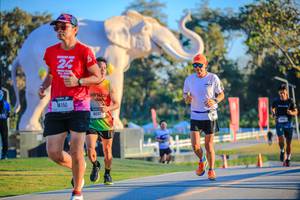 BIB: 
                            <button type="button" onclick="openModal(26183598)" class="btn btn-primary btn-sm float-right btn-popup" data-toggle="modal" data-target=".modal-high-quality">
                        <i class="fas fa-shopping-cart"></i> Add to Cart
                    </button>
                                            <button type="button" onclick="isThisMe(26183598, true)" class="btn btn-success btn-sm float-right btn-popup btn-isme hidden" data-toggle="tooltip" data-placement="bottom" title="นี่คือรูปของคุณใช่ไหม คลิกที่นี่เพื่อเอาเข้าอัลบั้ม">
                        <i class="fas fa-plus"></i> Add to album
                    </button>
                    <button type="button" onclick="isThisMe(26183598, false)" class="btn btn-warning btn-sm float-right btn-popup btn-isnotme hidden">
                        <i class="fas fa-ban"></i> Remove from album
                    </button>