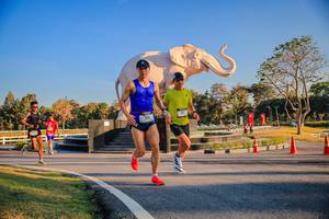 BIB: 
                            <button type="button" onclick="openModal(26186348)" class="btn btn-primary btn-sm float-right btn-popup" data-toggle="modal" data-target=".modal-high-quality">
                        <i class="fas fa-shopping-cart"></i> Add to Cart
                    </button>
                                            <button type="button" onclick="isThisMe(26186348, true)" class="btn btn-success btn-sm float-right btn-popup btn-isme hidden" data-toggle="tooltip" data-placement="bottom" title="นี่คือรูปของคุณใช่ไหม คลิกที่นี่เพื่อเอาเข้าอัลบั้ม">
                        <i class="fas fa-plus"></i> Add to album
                    </button>
                    <button type="button" onclick="isThisMe(26186348, false)" class="btn btn-warning btn-sm float-right btn-popup btn-isnotme hidden">
                        <i class="fas fa-ban"></i> Remove from album
                    </button>