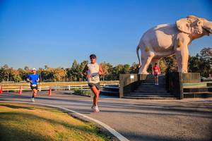 BIB: 
                            <button type="button" onclick="openModal(26186358)" class="btn btn-primary btn-sm float-right btn-popup" data-toggle="modal" data-target=".modal-high-quality">
                        <i class="fas fa-shopping-cart"></i> Add to Cart
                    </button>
                                            <button type="button" onclick="isThisMe(26186358, true)" class="btn btn-success btn-sm float-right btn-popup btn-isme hidden" data-toggle="tooltip" data-placement="bottom" title="นี่คือรูปของคุณใช่ไหม คลิกที่นี่เพื่อเอาเข้าอัลบั้ม">
                        <i class="fas fa-plus"></i> Add to album
                    </button>
                    <button type="button" onclick="isThisMe(26186358, false)" class="btn btn-warning btn-sm float-right btn-popup btn-isnotme hidden">
                        <i class="fas fa-ban"></i> Remove from album
                    </button>