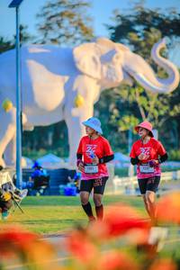 BIB: 
                            <button type="button" onclick="openModal(26183945)" class="btn btn-primary btn-sm float-right btn-popup" data-toggle="modal" data-target=".modal-high-quality">
                        <i class="fas fa-shopping-cart"></i> Add to Cart
                    </button>
                                            <button type="button" onclick="isThisMe(26183945, true)" class="btn btn-success btn-sm float-right btn-popup btn-isme hidden" data-toggle="tooltip" data-placement="bottom" title="นี่คือรูปของคุณใช่ไหม คลิกที่นี่เพื่อเอาเข้าอัลบั้ม">
                        <i class="fas fa-plus"></i> Add to album
                    </button>
                    <button type="button" onclick="isThisMe(26183945, false)" class="btn btn-warning btn-sm float-right btn-popup btn-isnotme hidden">
                        <i class="fas fa-ban"></i> Remove from album
                    </button>