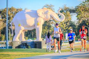 BIB: 
                            <button type="button" onclick="openModal(26183452)" class="btn btn-primary btn-sm float-right btn-popup" data-toggle="modal" data-target=".modal-high-quality">
                        <i class="fas fa-shopping-cart"></i> Add to Cart
                    </button>
                                            <button type="button" onclick="isThisMe(26183452, true)" class="btn btn-success btn-sm float-right btn-popup btn-isme hidden" data-toggle="tooltip" data-placement="bottom" title="นี่คือรูปของคุณใช่ไหม คลิกที่นี่เพื่อเอาเข้าอัลบั้ม">
                        <i class="fas fa-plus"></i> Add to album
                    </button>
                    <button type="button" onclick="isThisMe(26183452, false)" class="btn btn-warning btn-sm float-right btn-popup btn-isnotme hidden">
                        <i class="fas fa-ban"></i> Remove from album
                    </button>